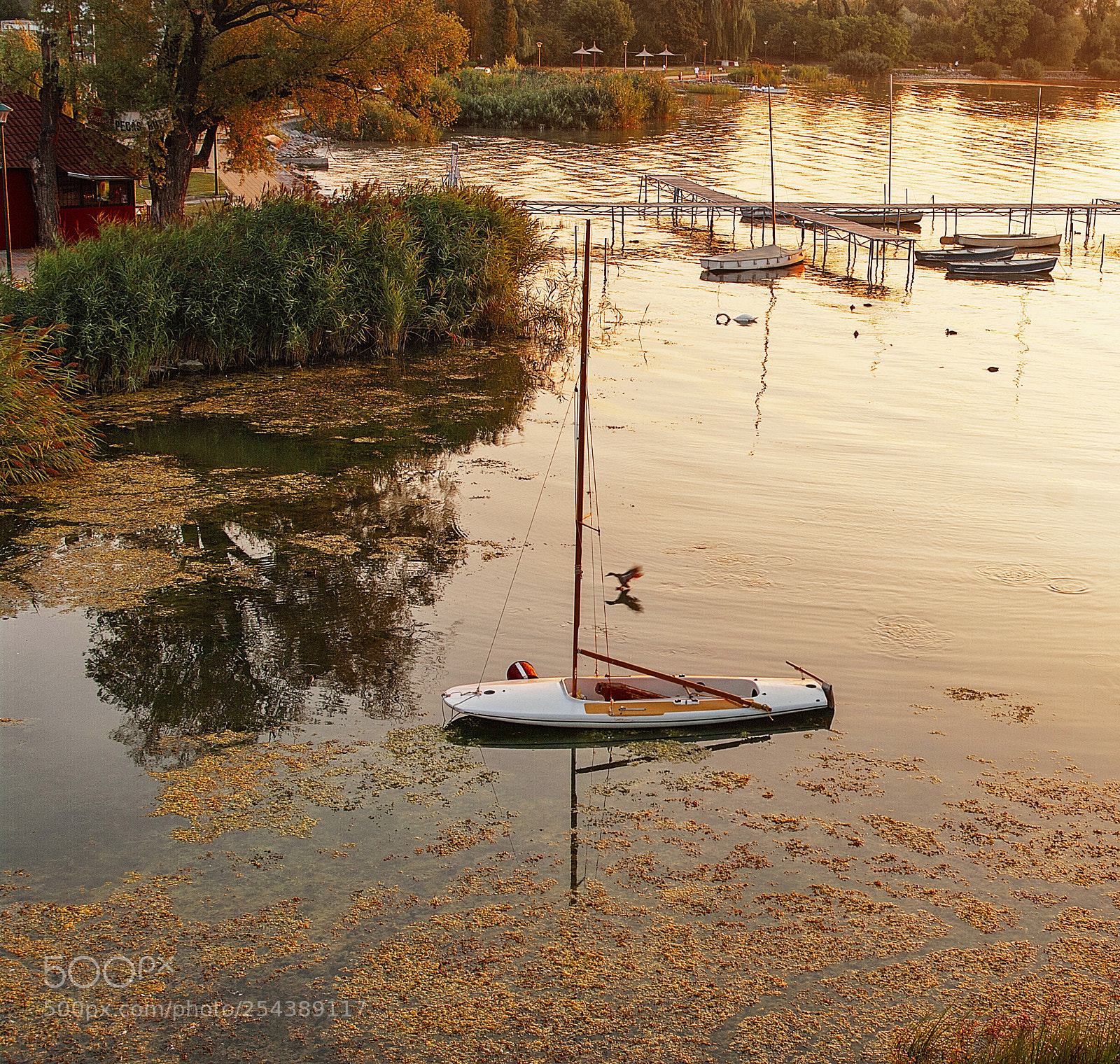 Pentax K20D sample photo. Morning on balaton photography