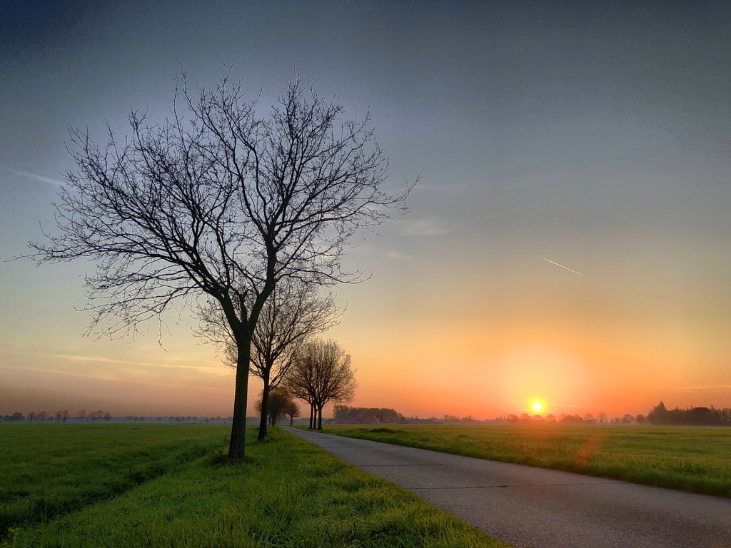 Countryside sunrise  by Bjorn Beheydt on 500px.com