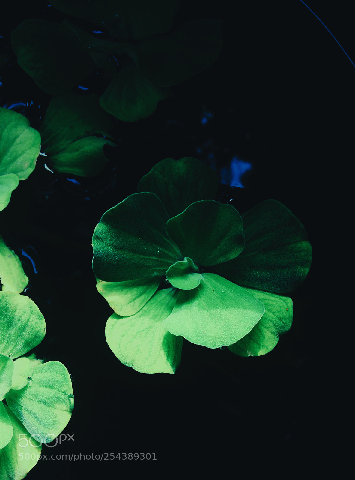 LG Nexus 5 sample photo. Processed with vsco with photography