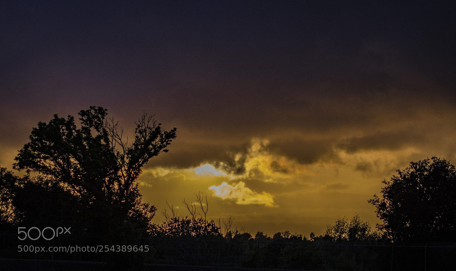 Canon EOS 750D (EOS Rebel T6i / EOS Kiss X8i) sample photo. Sunset at california photography