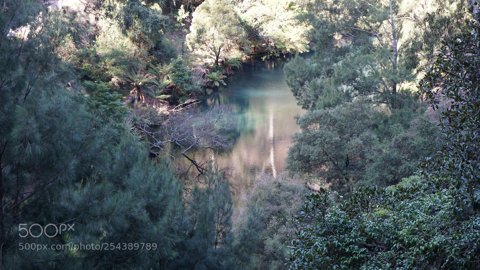 Sony a6000 sample photo. Jenolan river photography