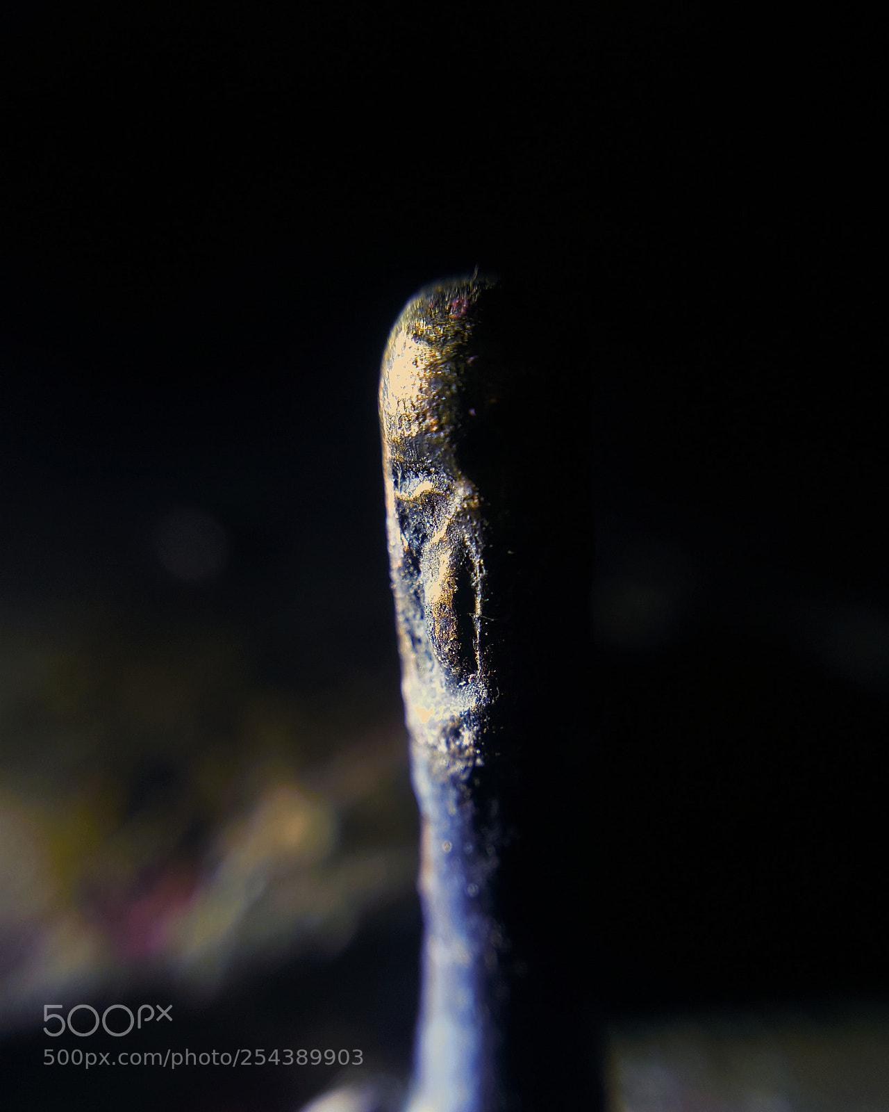 Samsung Galaxy Note5 sample photo. A rusted needle photography