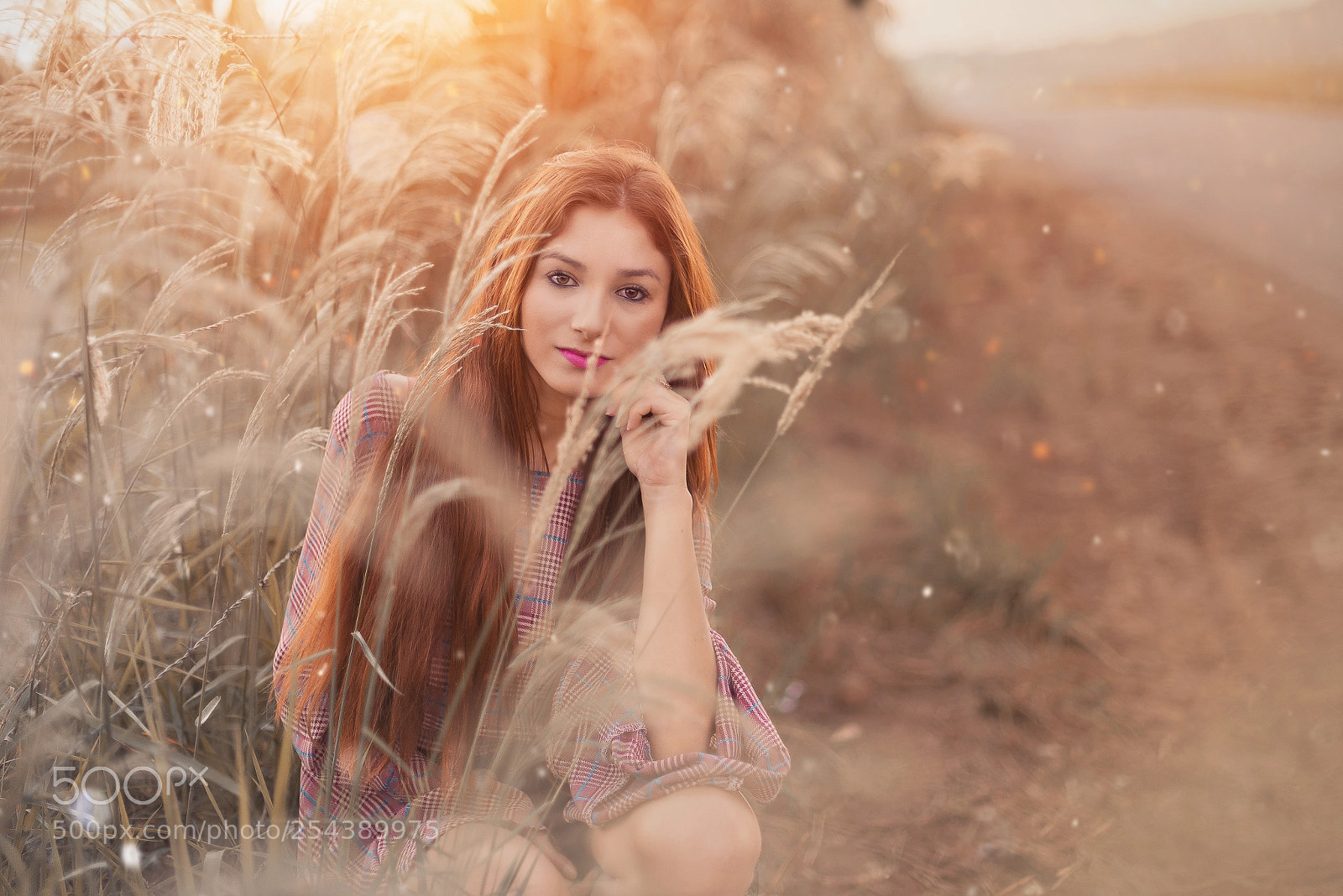 Nikon D610 sample photo. Untitled photography