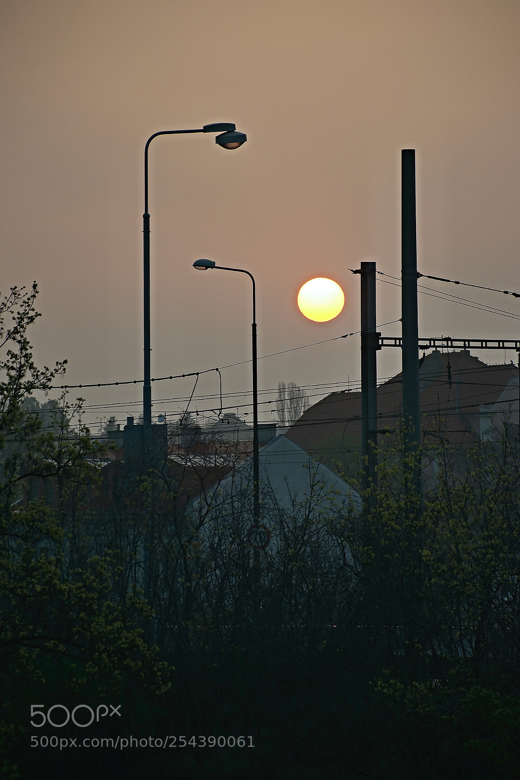 Nikon D5300 sample photo. Sun during sunrise in photography