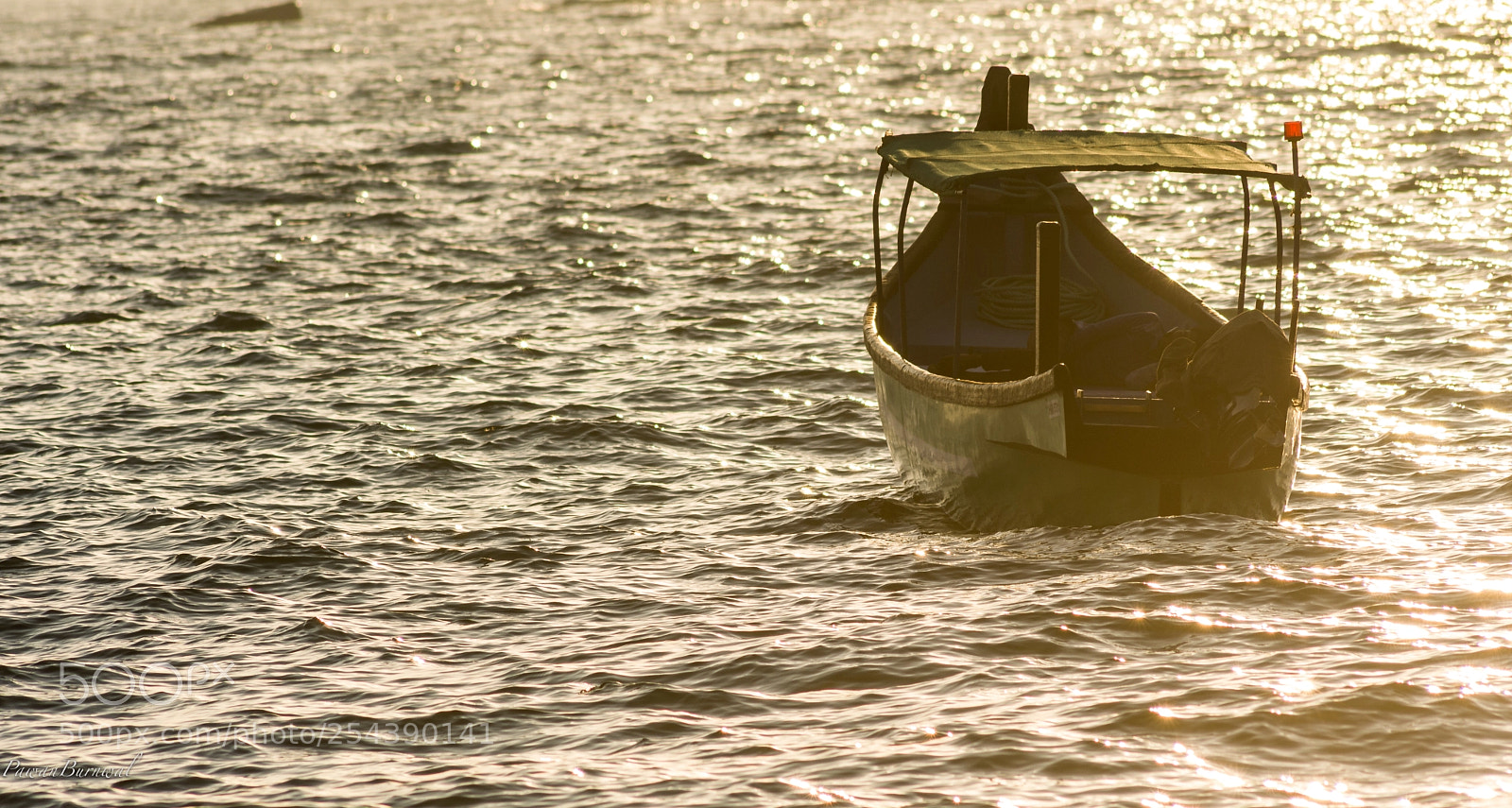 Nikon D5200 sample photo. Light play photography