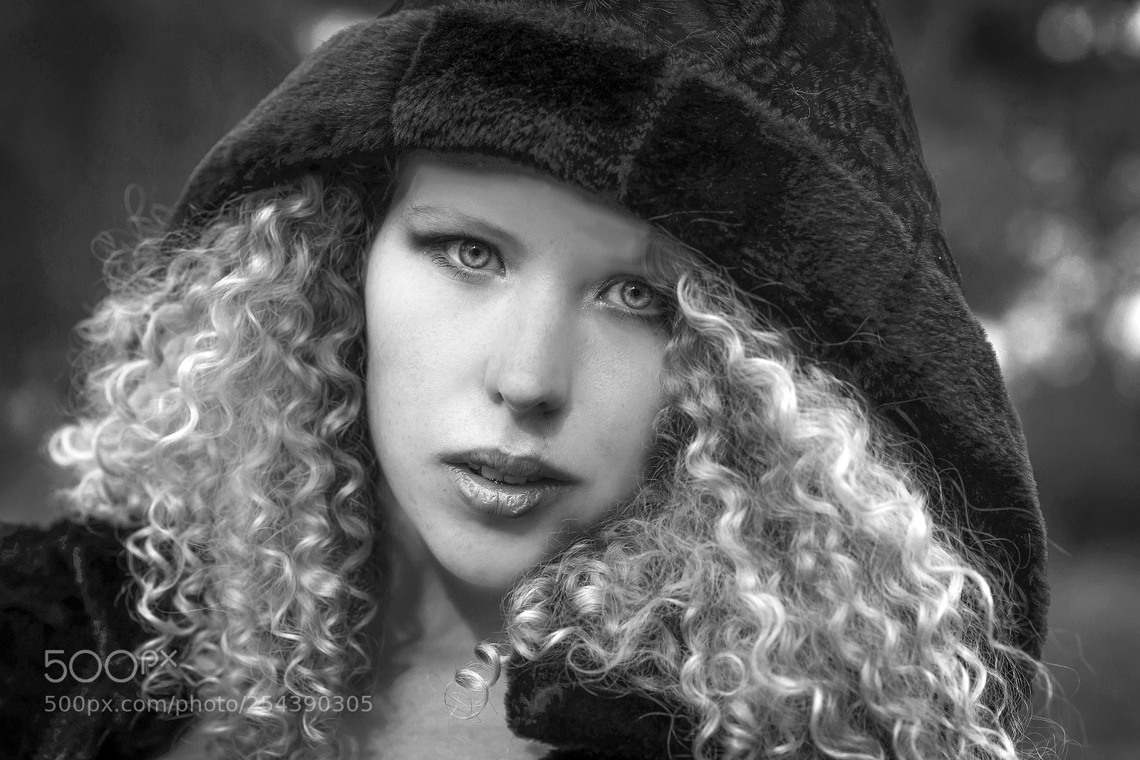 Nikon D610 sample photo. Draco6466 photography