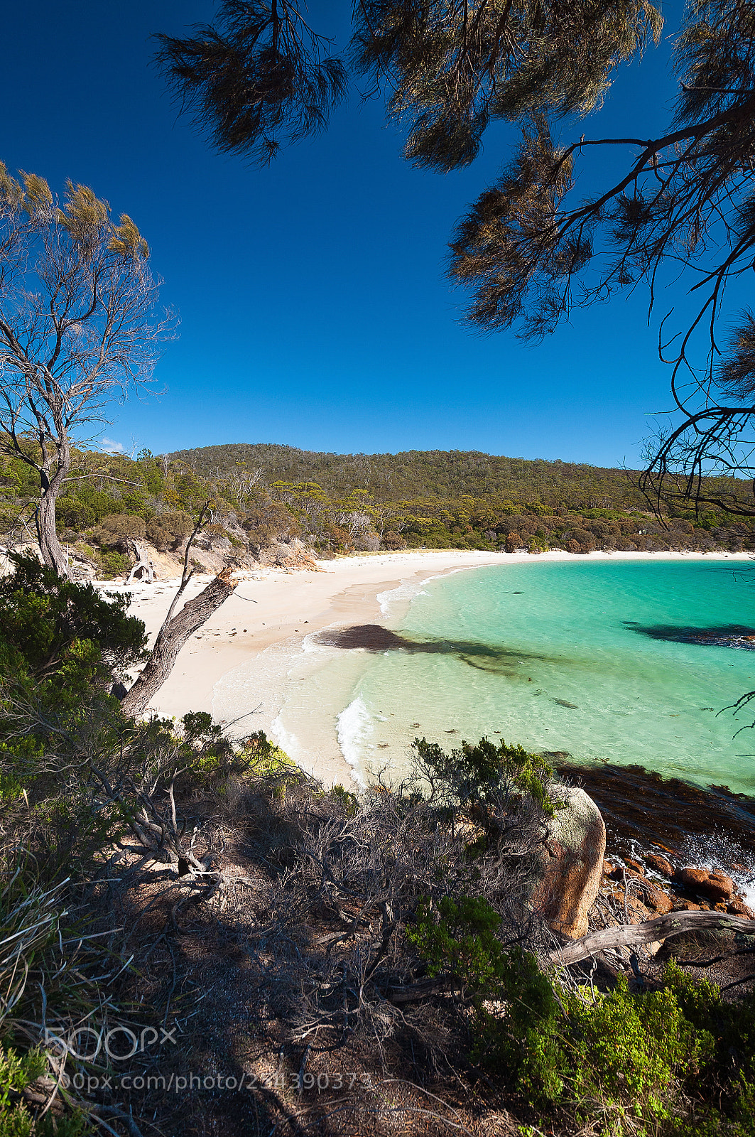 Nikon D5000 sample photo. The beach | schouten island photography