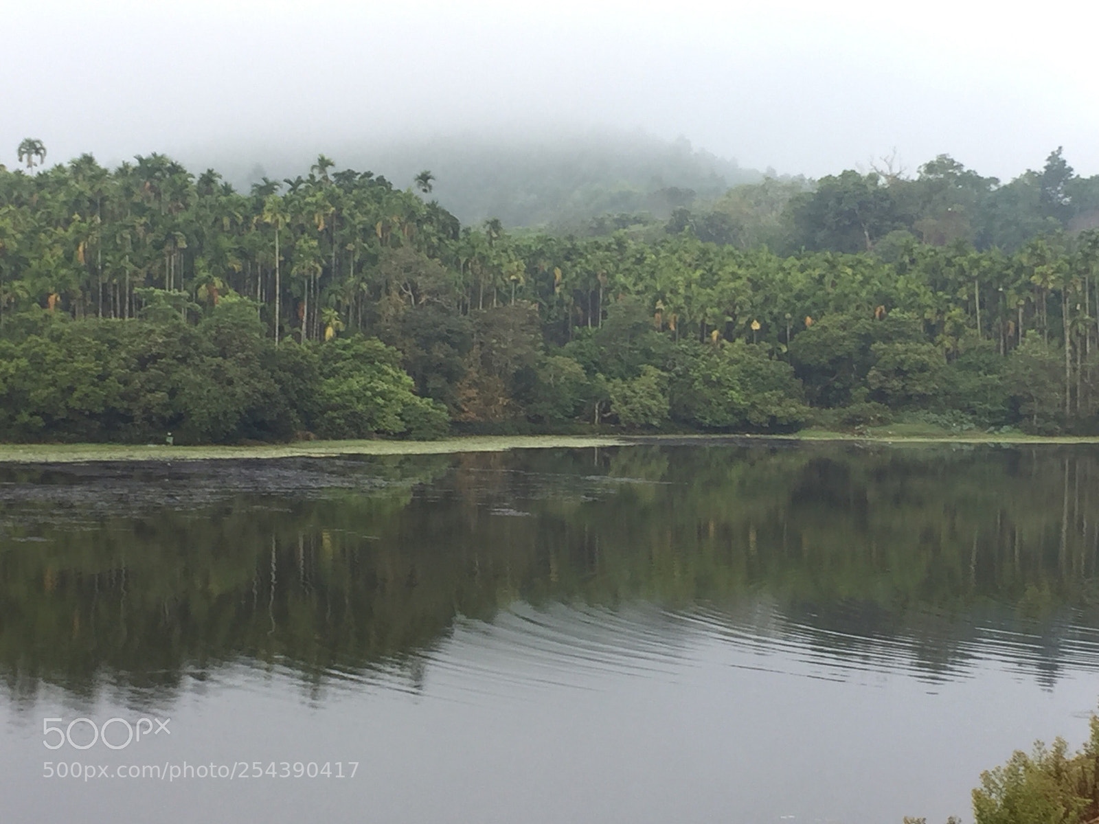 Apple iPhone 6 sample photo. Mirrored  photography