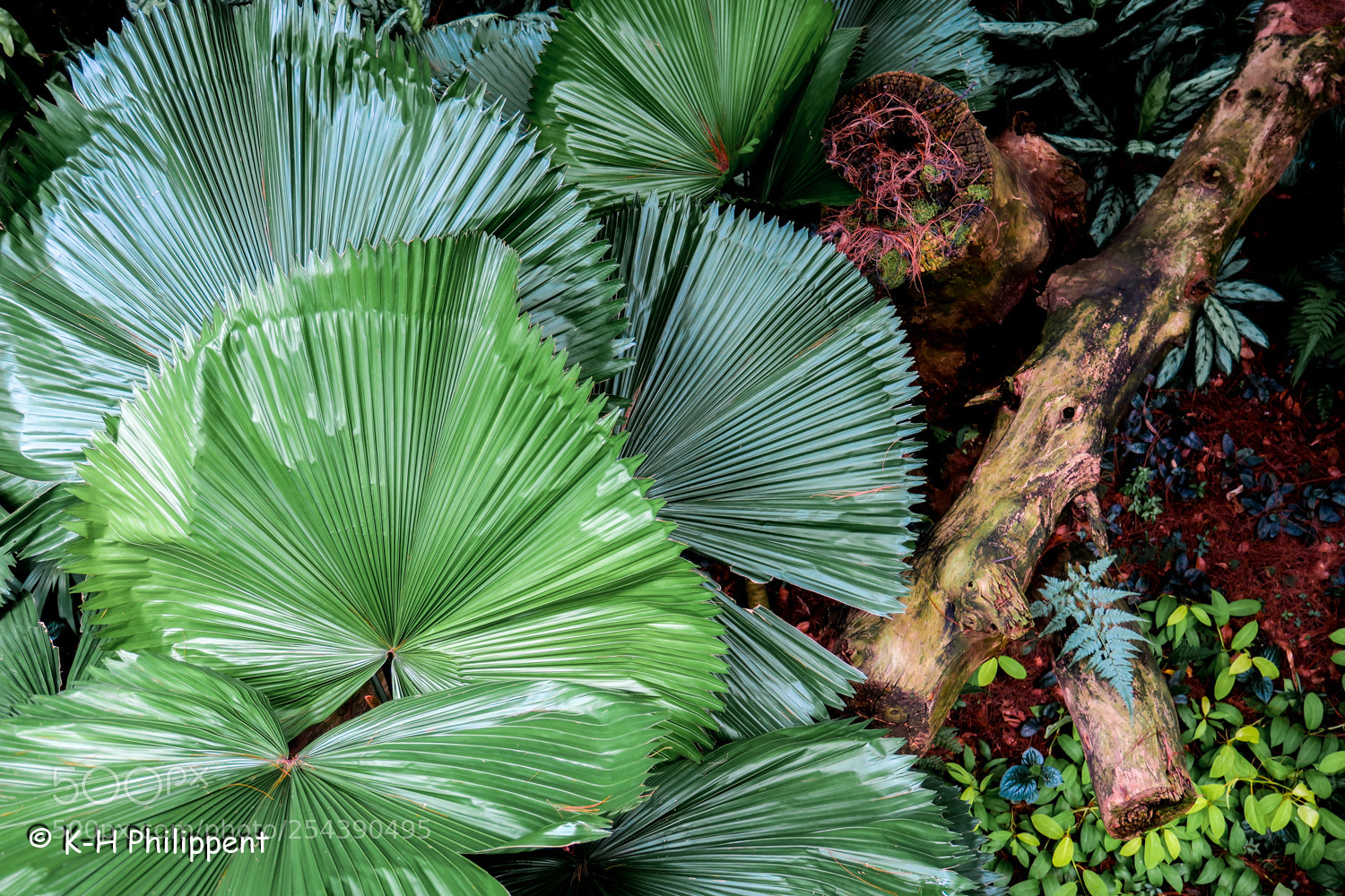 Canon PowerShot G3 X sample photo. Singapur republic of singapore photography