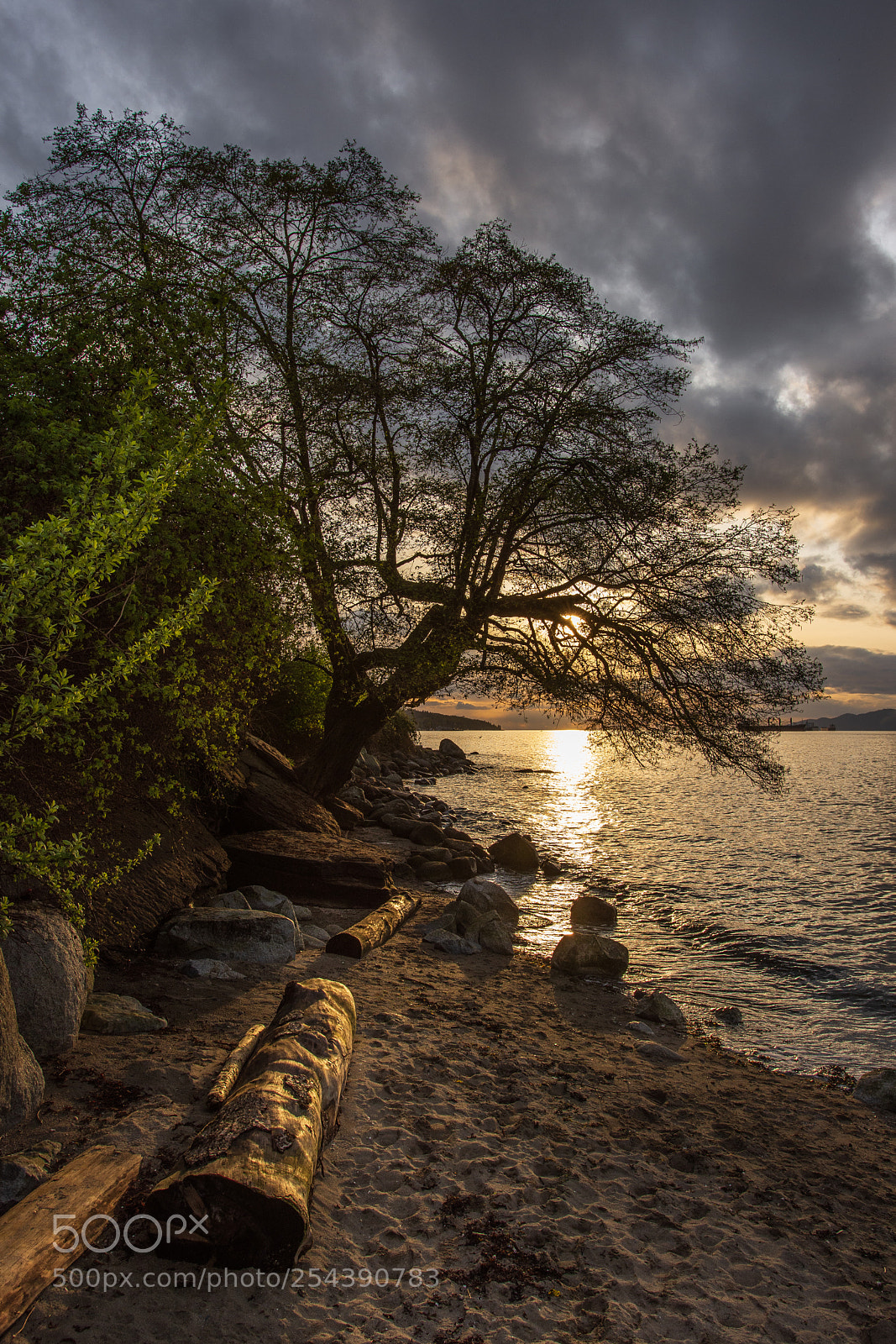 Nikon D7200 sample photo. Toto photography