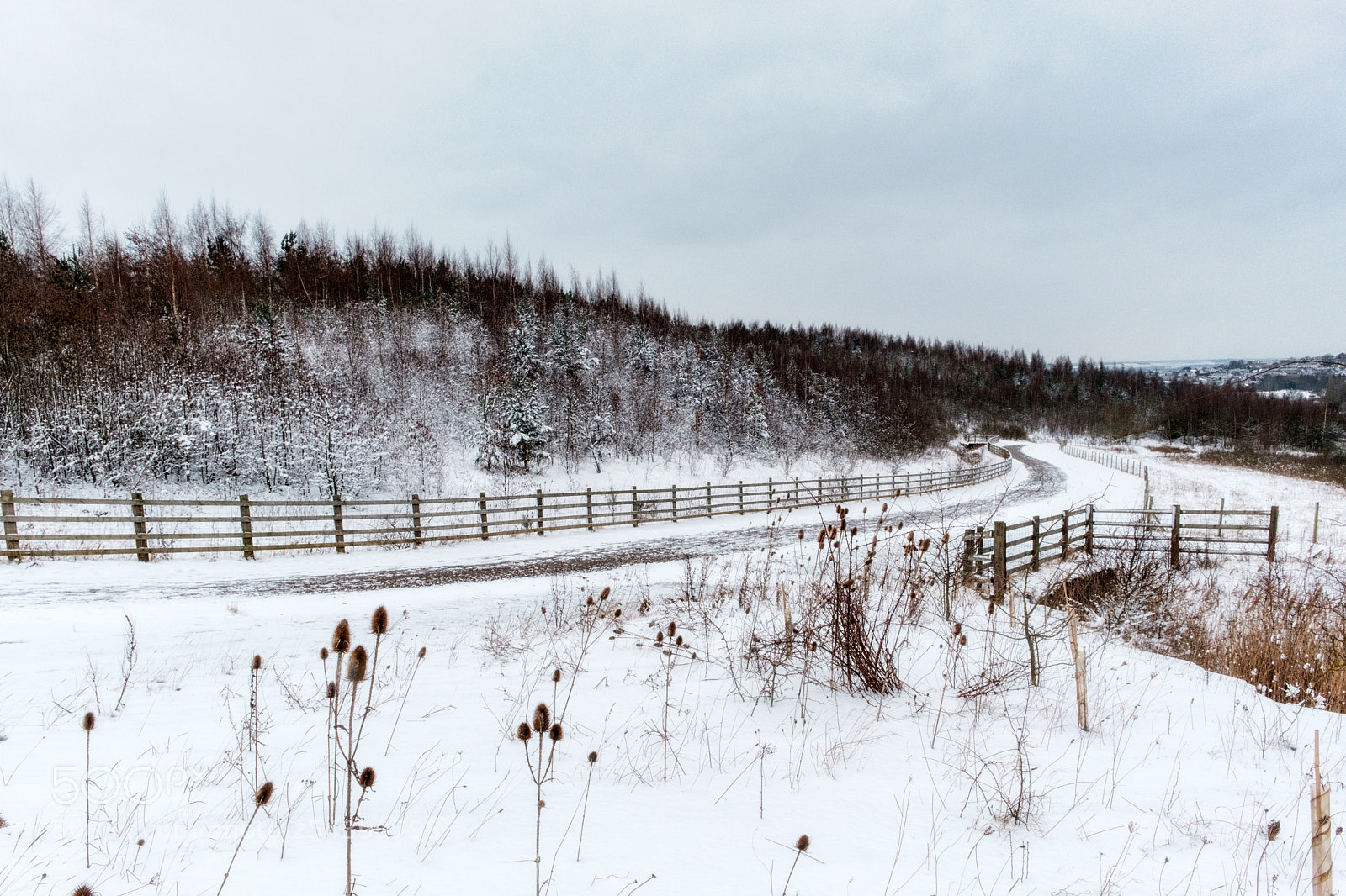 Fujifilm X-T2 sample photo. Gedling country park photography