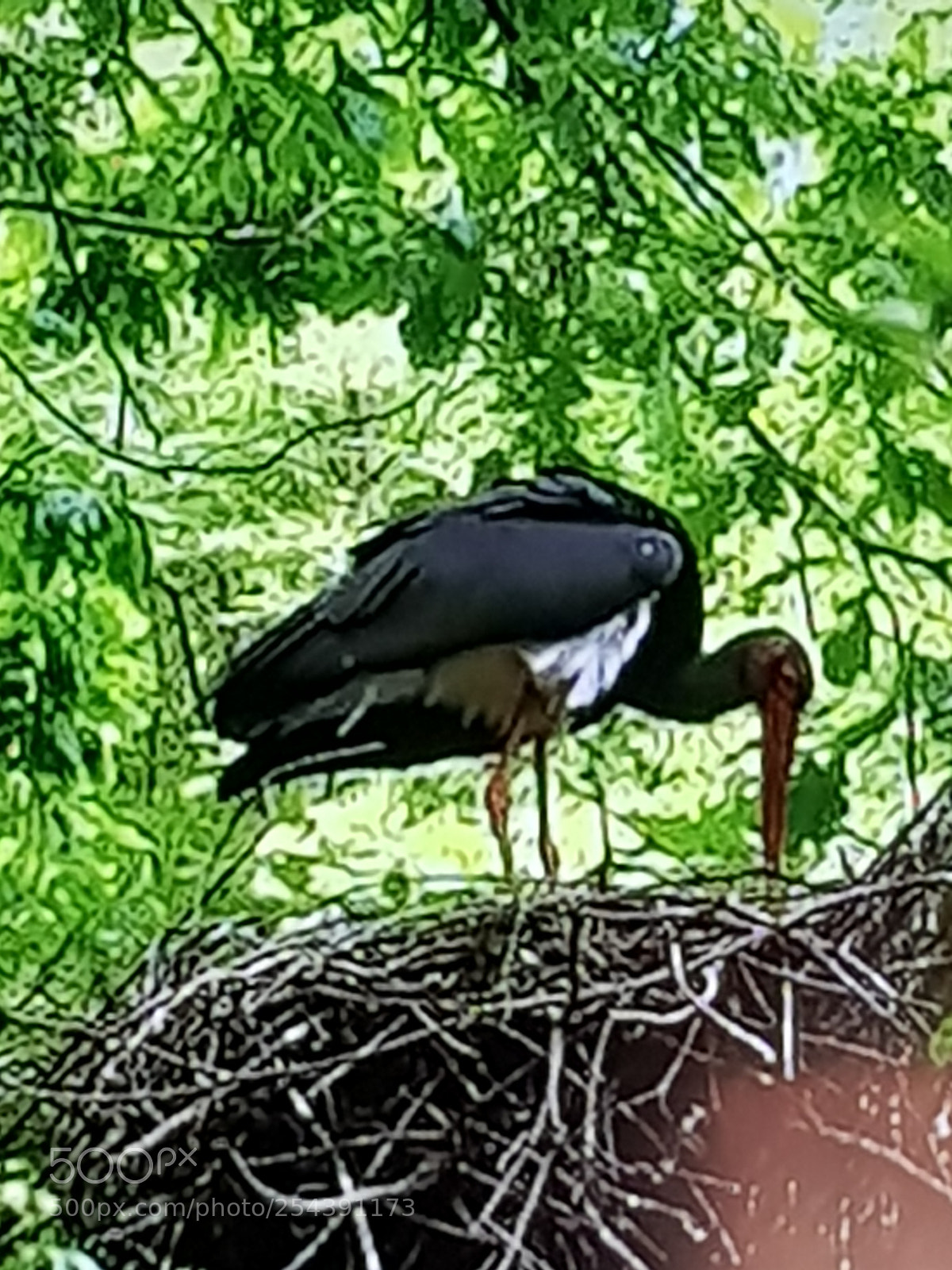 Samsung Galaxy S8 sample photo. Untitled photography