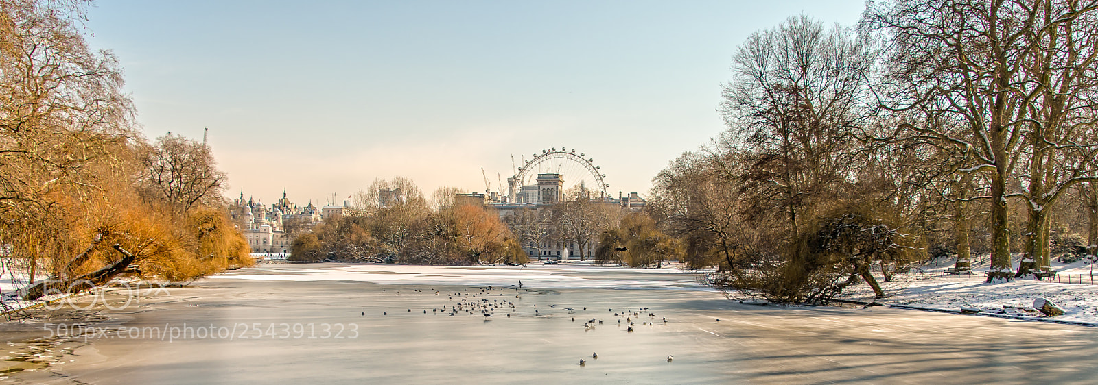 Nikon D500 sample photo. Winter in london photography