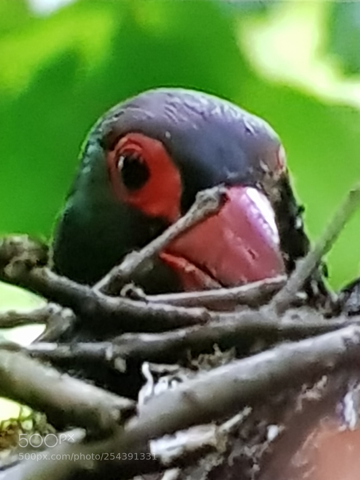 Samsung Galaxy S8 sample photo. Untitled photography