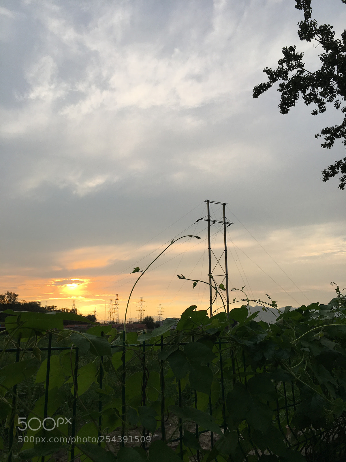 Apple iPhone 6s Plus sample photo. Img photography