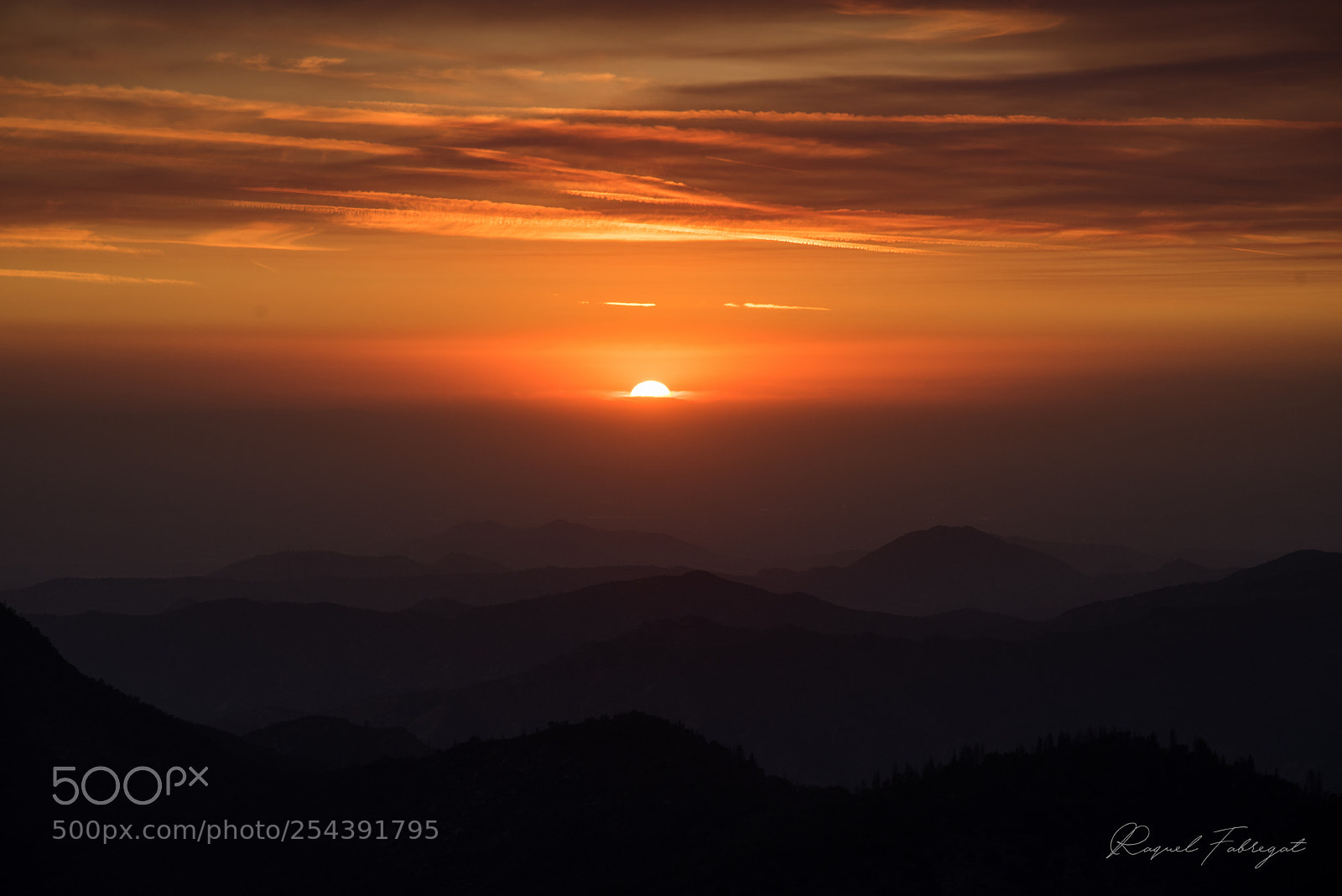 Nikon D750 sample photo. Sequoia national park sunset photography