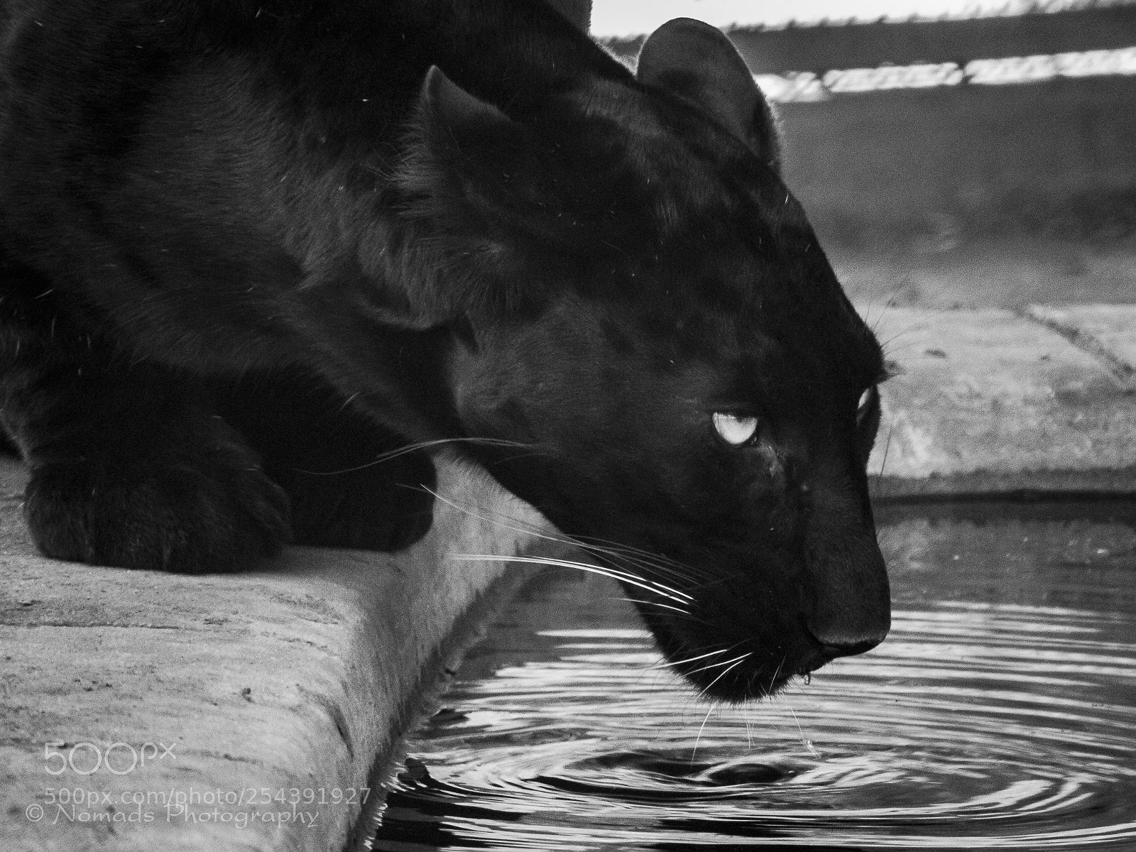Canon EOS 650D (EOS Rebel T4i / EOS Kiss X6i) sample photo. Quenching photography