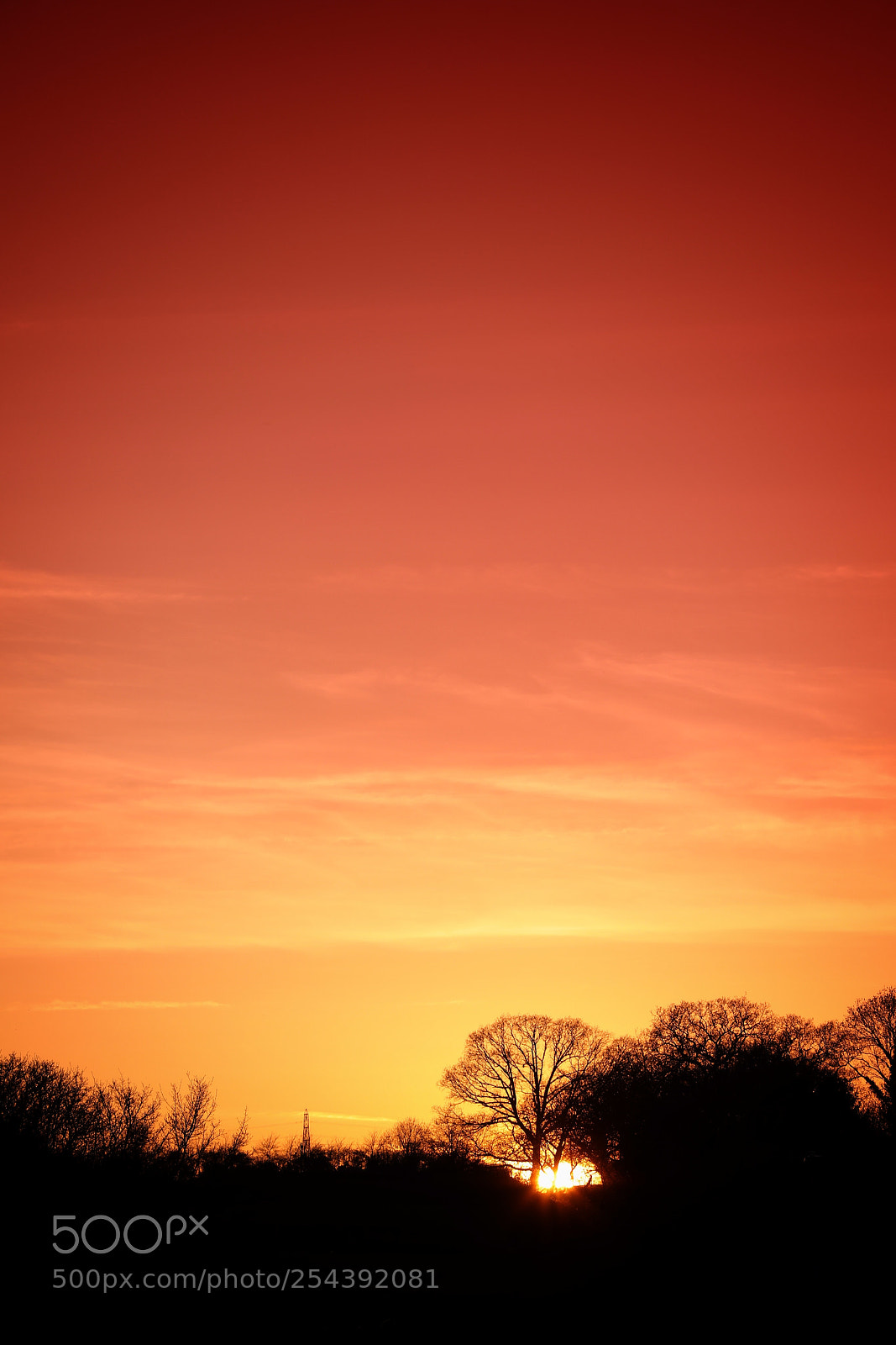 Canon EOS 5D Mark IV sample photo. April sunset photography