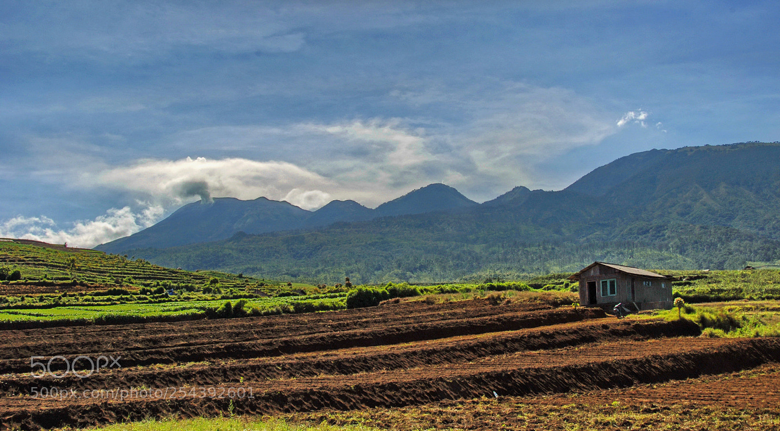 Nikon D200 sample photo. The volcanic fields photography