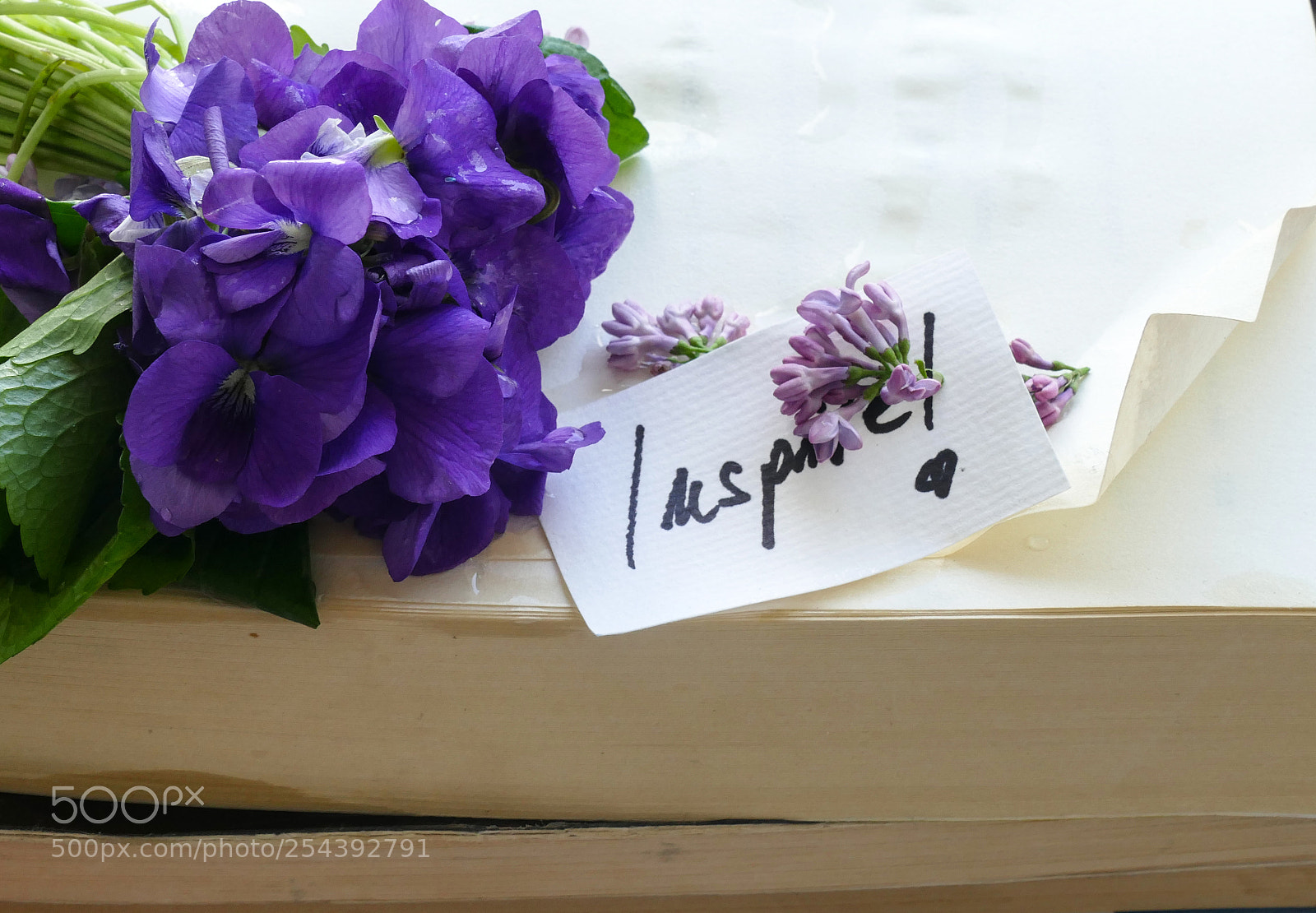 Panasonic Lumix DMC-FZ1000 sample photo. Inspire the day! photography