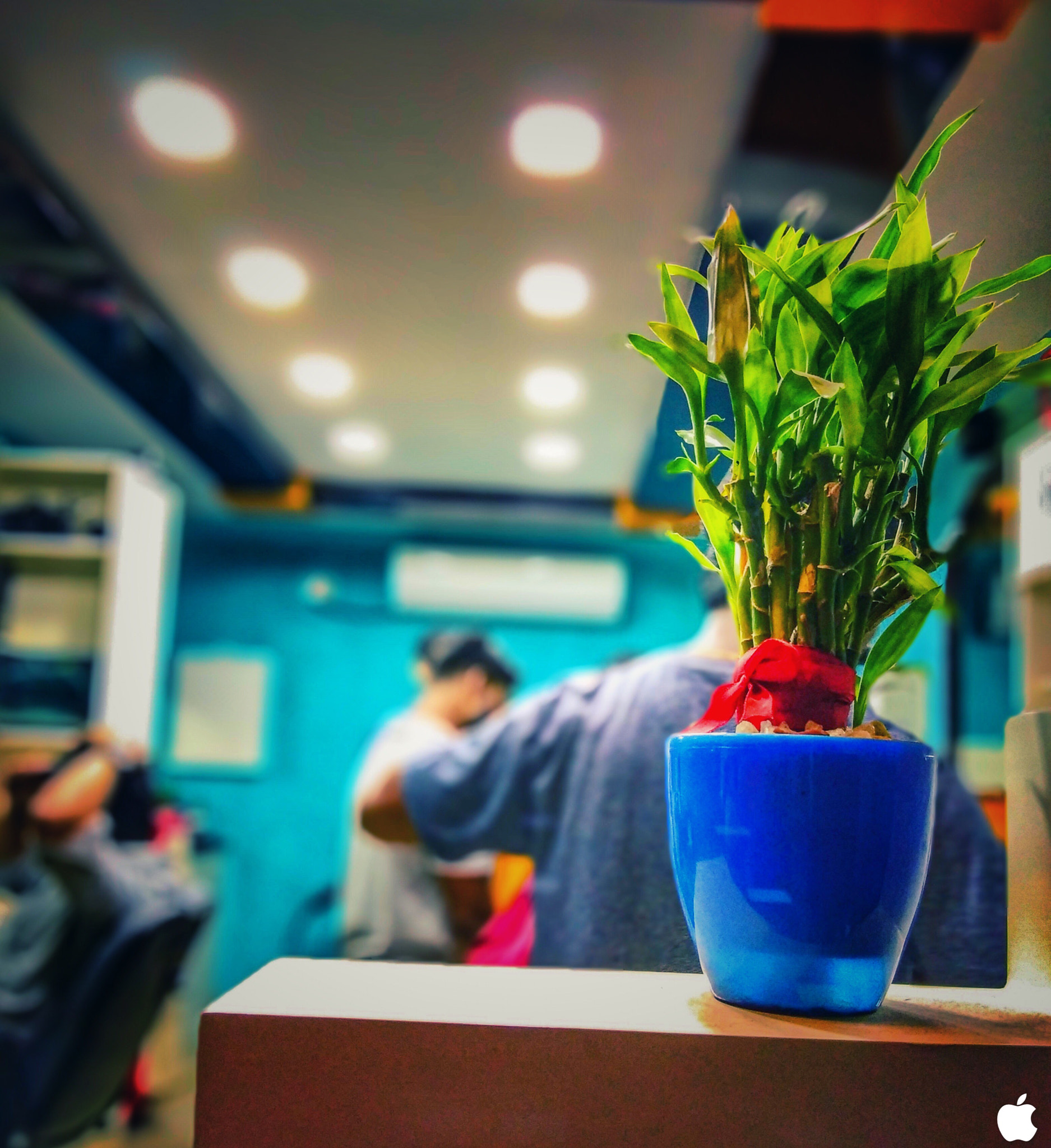 vivo V9 6GB sample photo