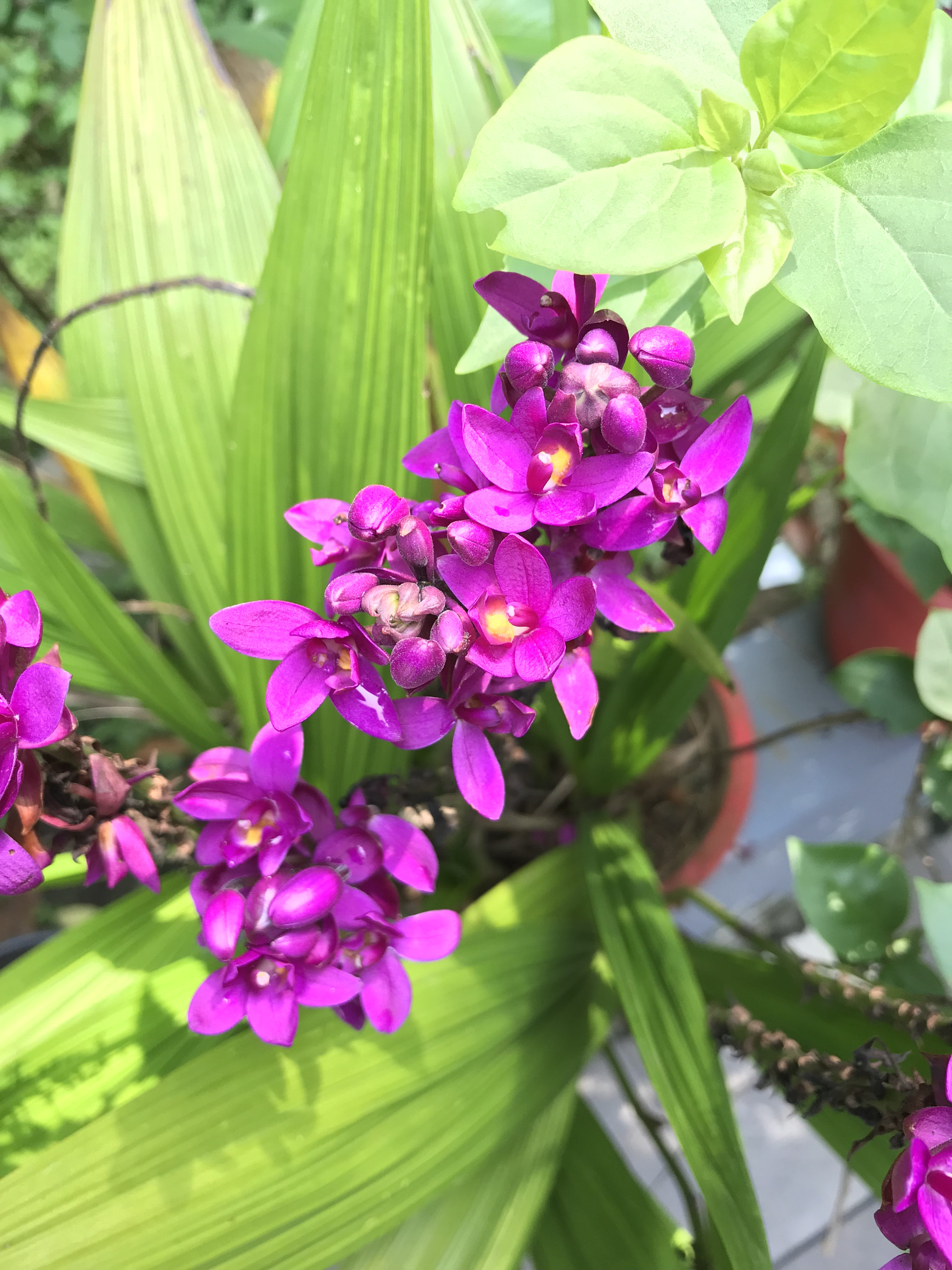 Apple iPad Pro (10.5-inch) sample photo. Can't look away photography