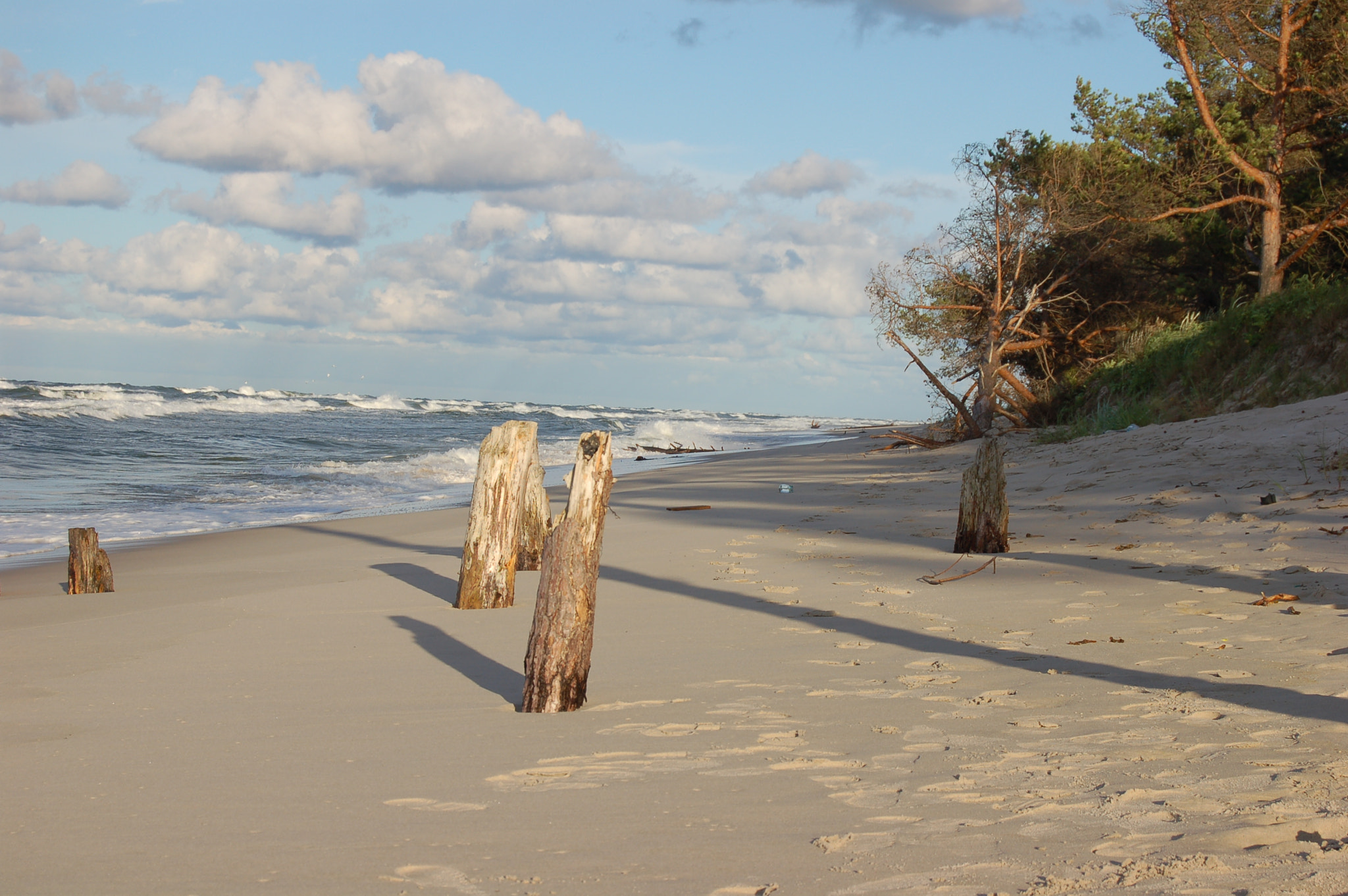 Nikon D50 sample photo. Coast photography