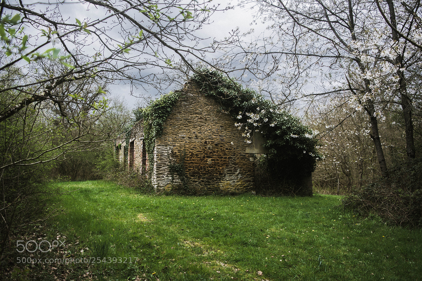 Nikon D5200 sample photo. Wild house 2. photography
