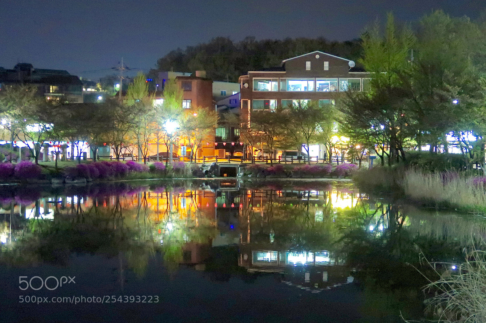 Canon PowerShot G7 X Mark II sample photo. Pond : city inside photography