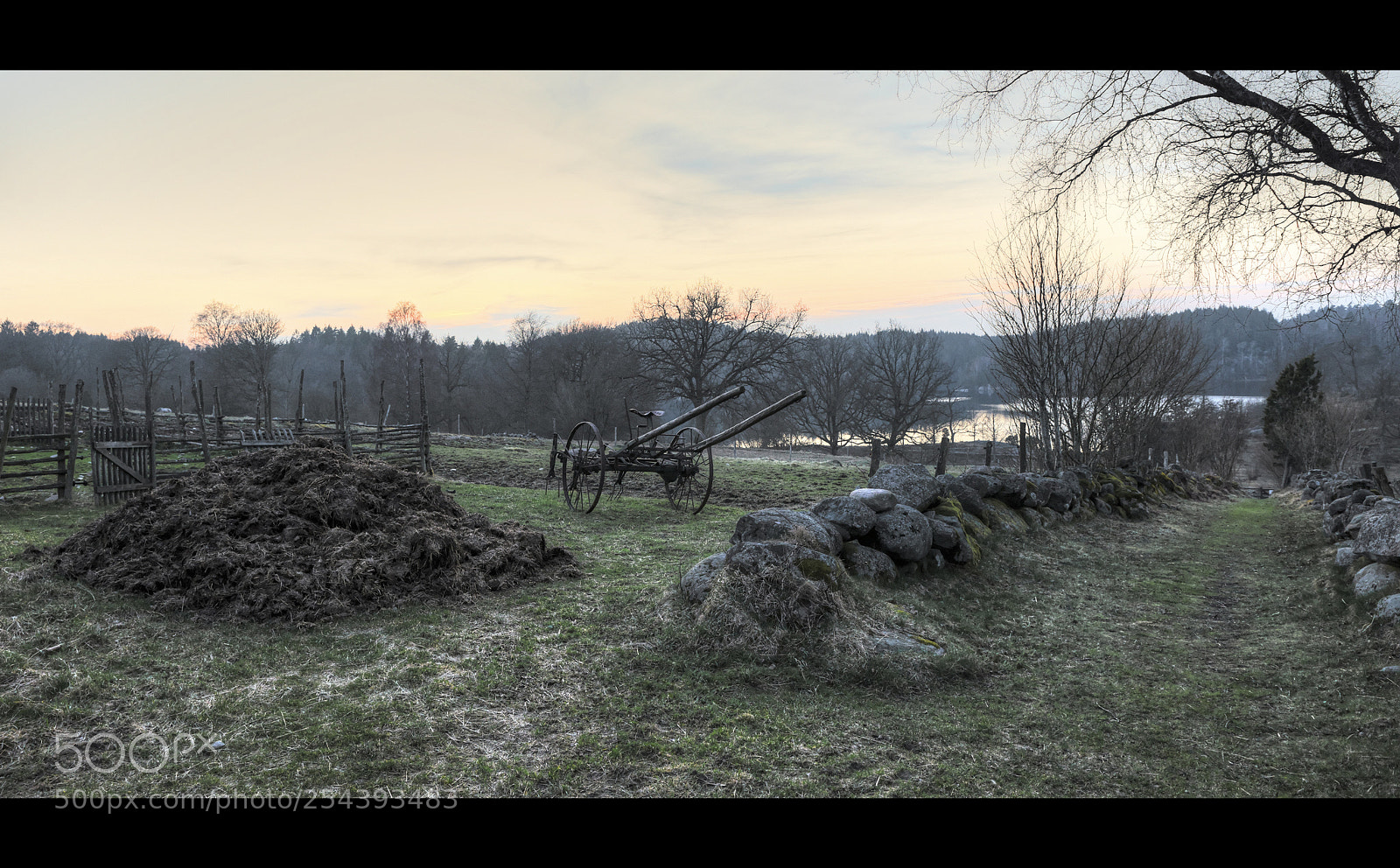 Nikon D810 sample photo. Cultivate... photography