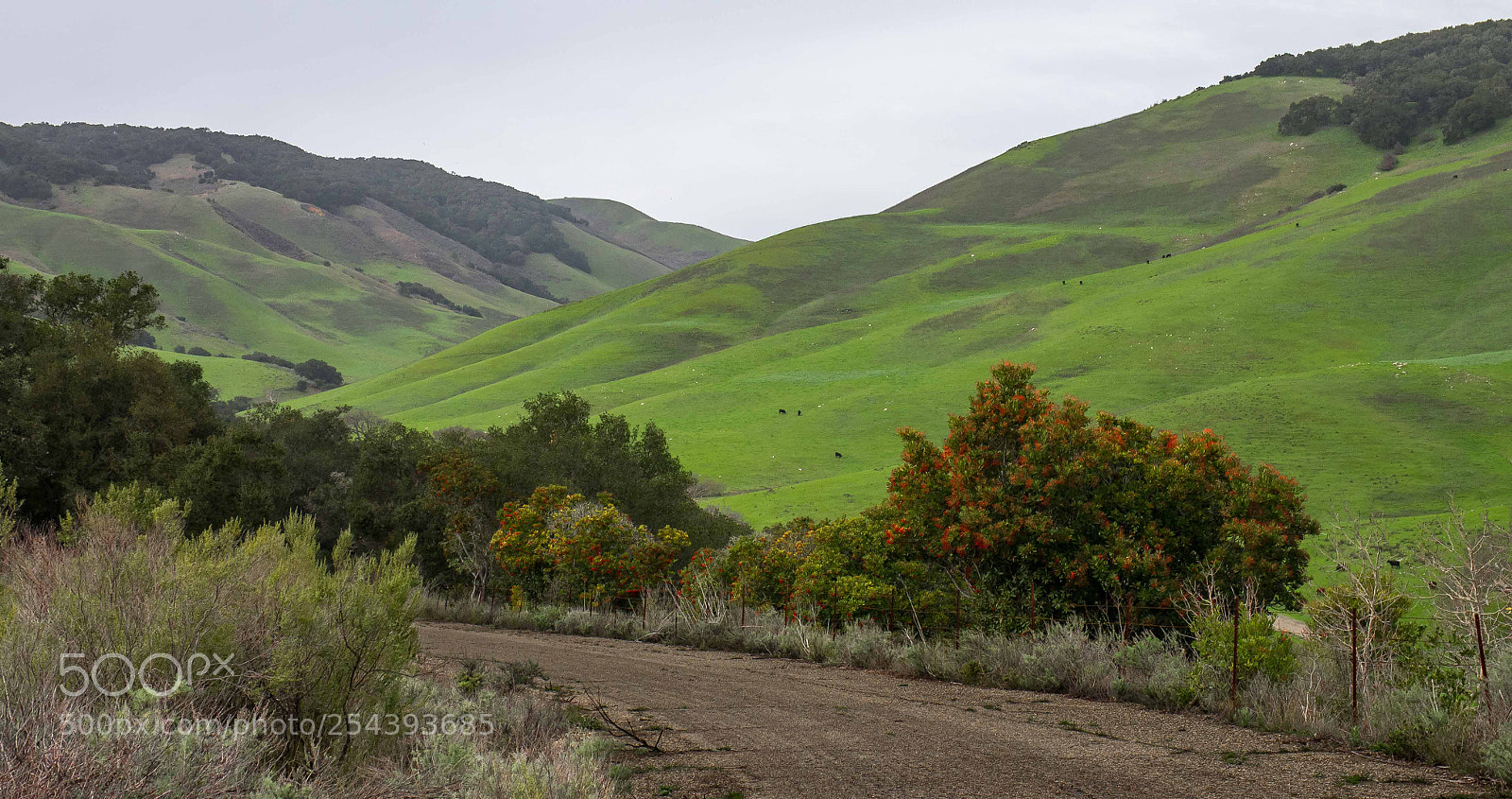 Pentax K-5 sample photo. Byway photography