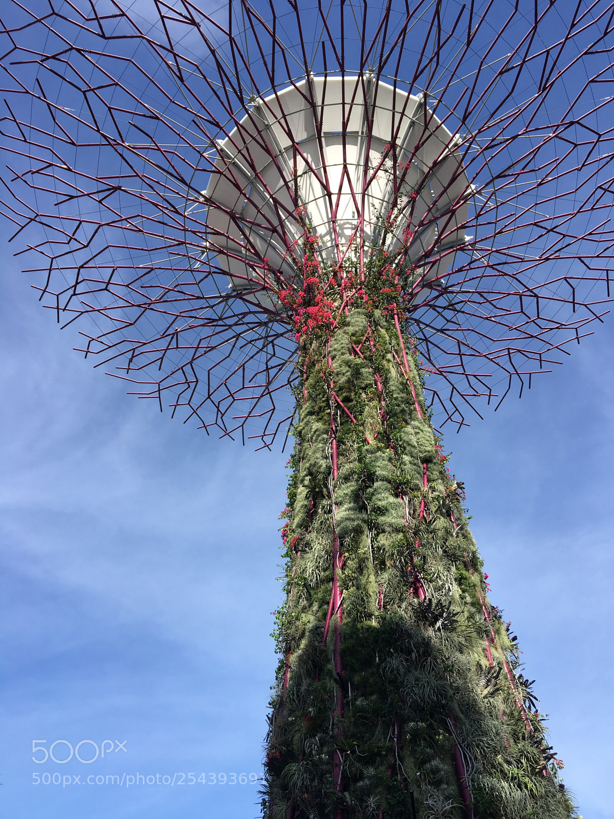 Apple iPhone 6s Plus sample photo. Possibility photography