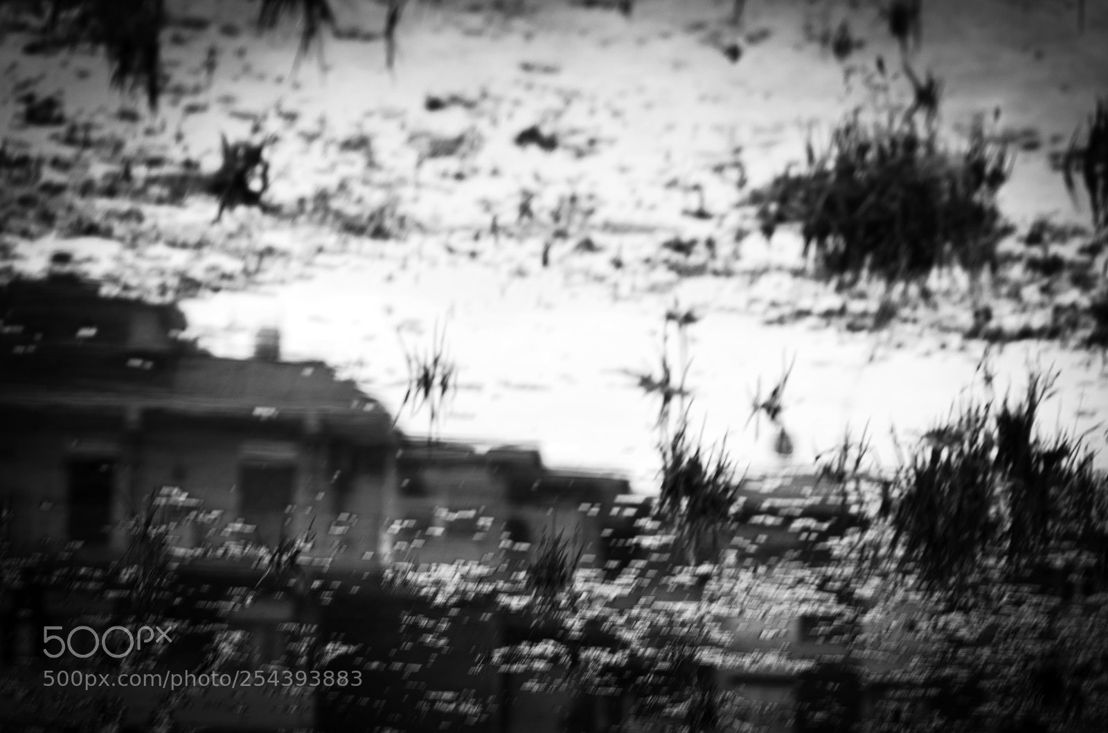 Nikon D5100 sample photo. My surroundings photography