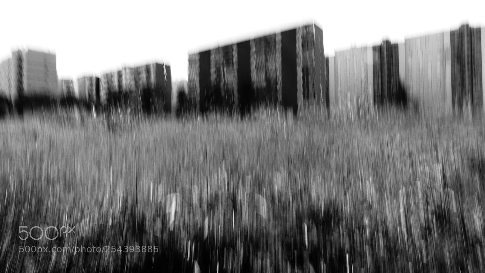 Nikon D5100 sample photo. My surroundings photography