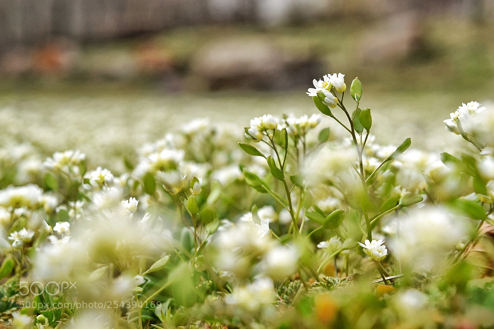Nikon D5300 sample photo. Untitled photography