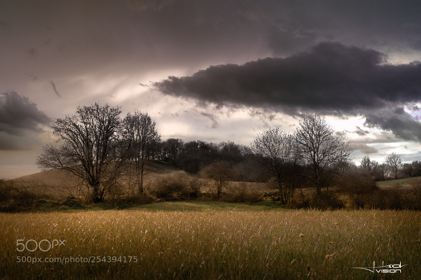 Sony a7R II sample photo. ??? photography