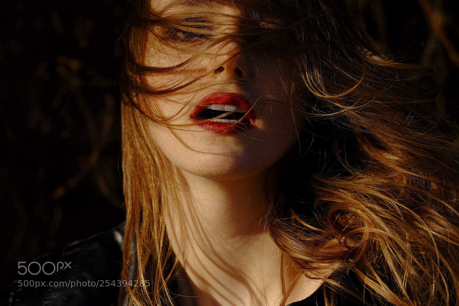 Fujifilm X-T1 sample photo. Ida inetta photography