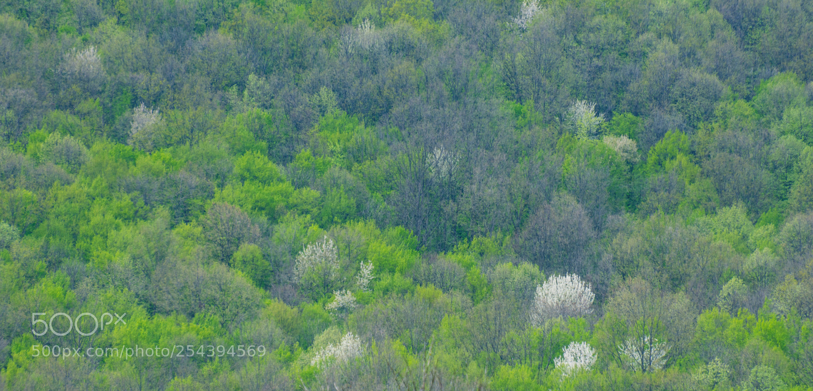 Nikon D7200 sample photo. Diversity photography