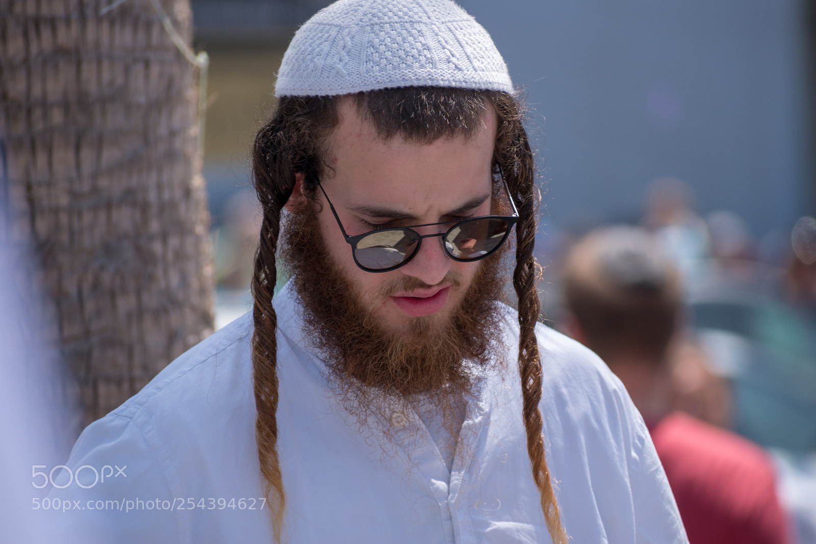 Nikon D5600 sample photo. Breslov photography
