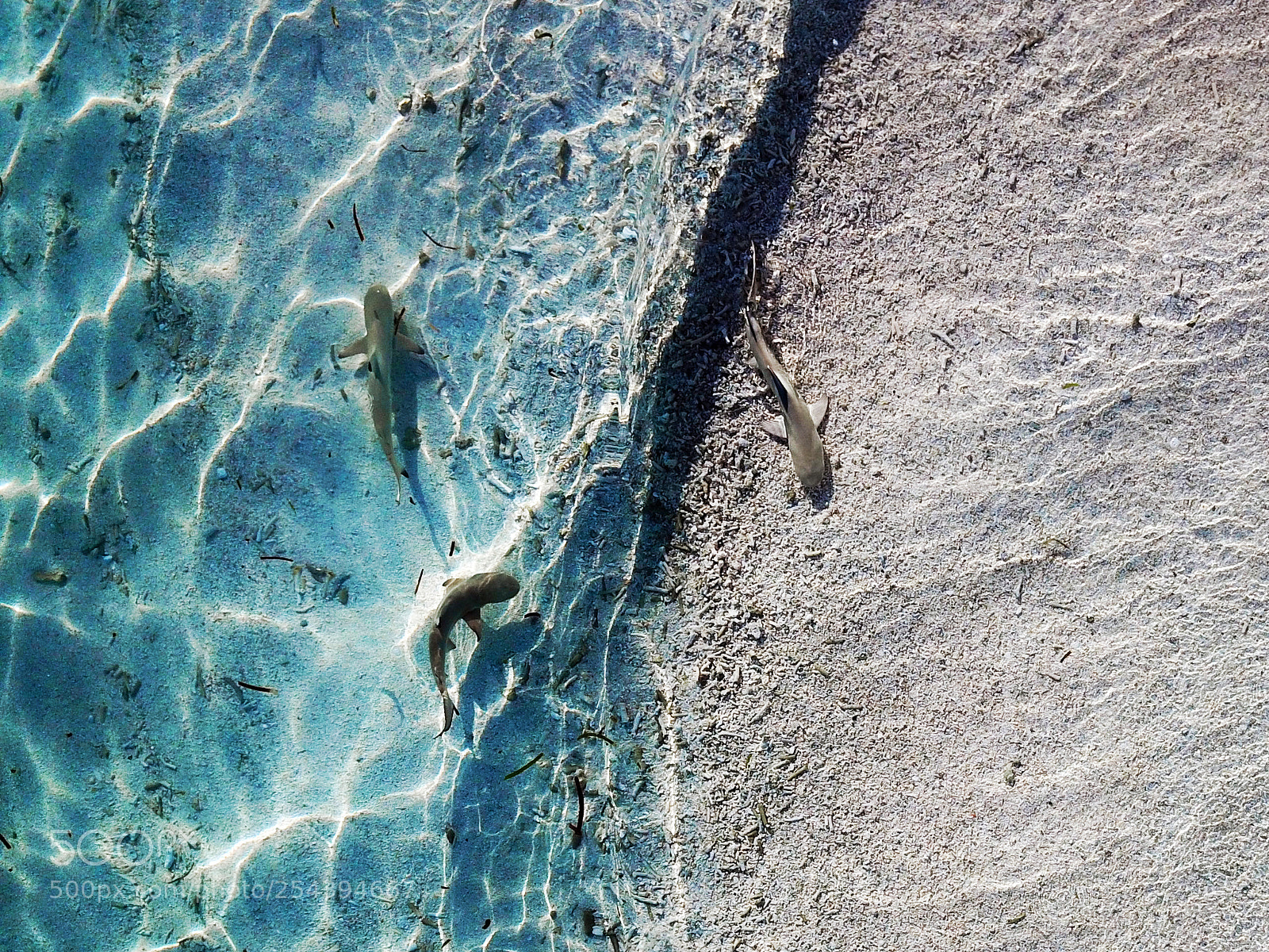 DJI FC220 sample photo. An aerial shot of photography