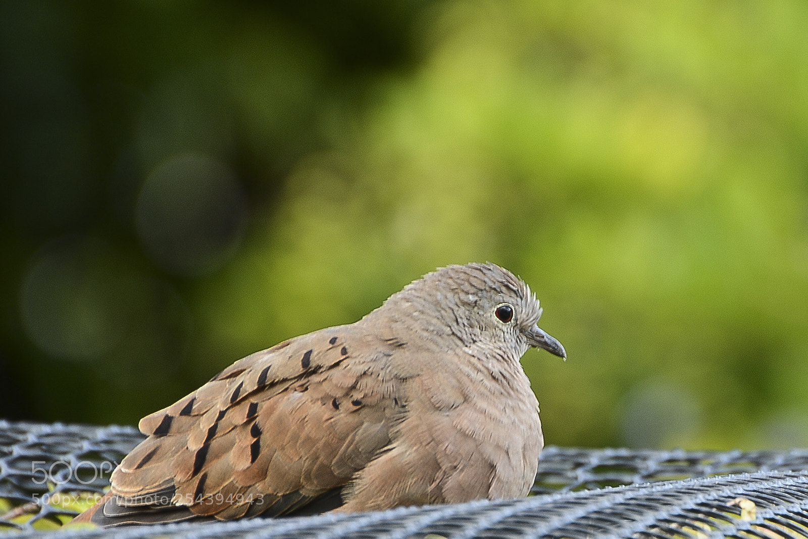 Nikon D7100 sample photo. Calmaria e paz. photography