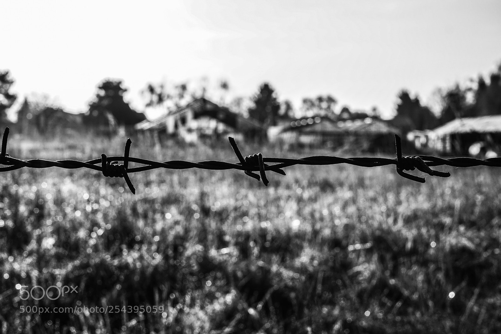Sony a6000 sample photo. Forbidden  photography