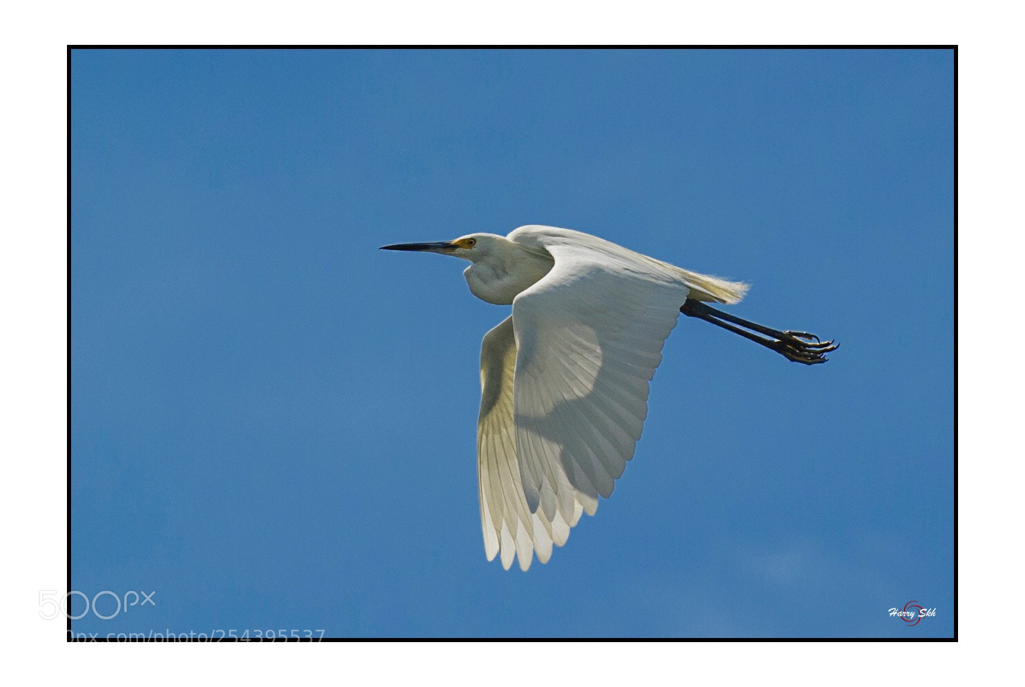Nikon D3S sample photo. Flying photography