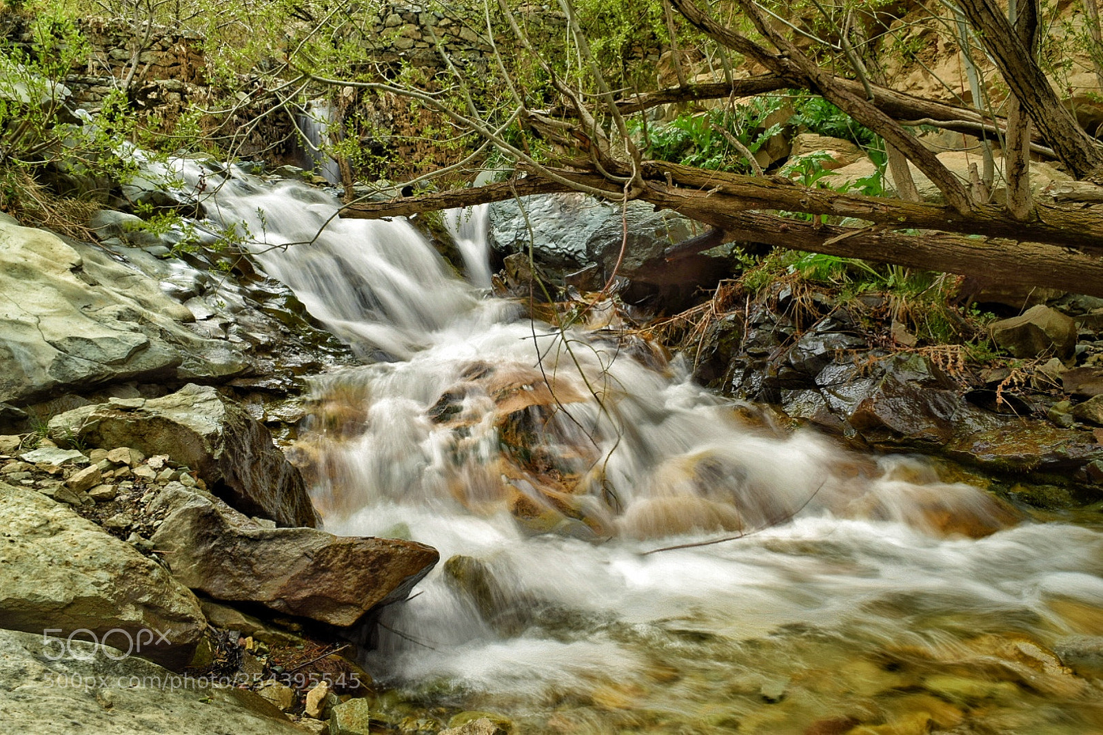 Nikon D5300 sample photo. Untitled photography