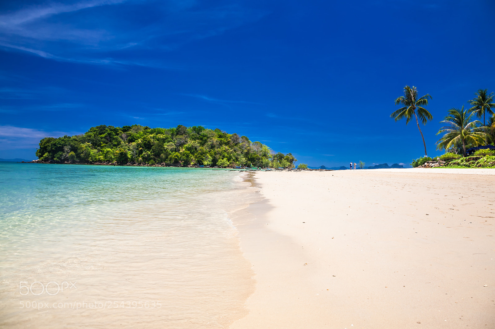 Canon EOS 5D sample photo. Tropical dreams photography