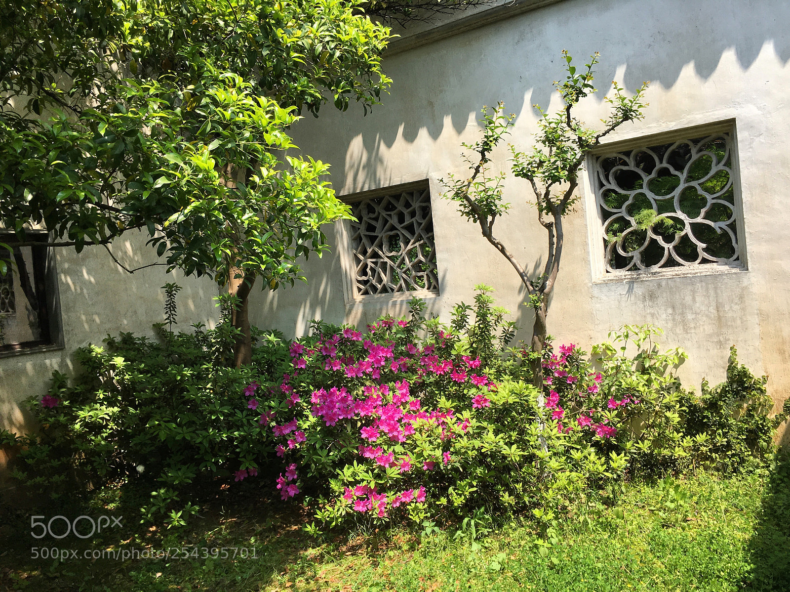 Apple iPhone 6s sample photo. Suzhou china photography