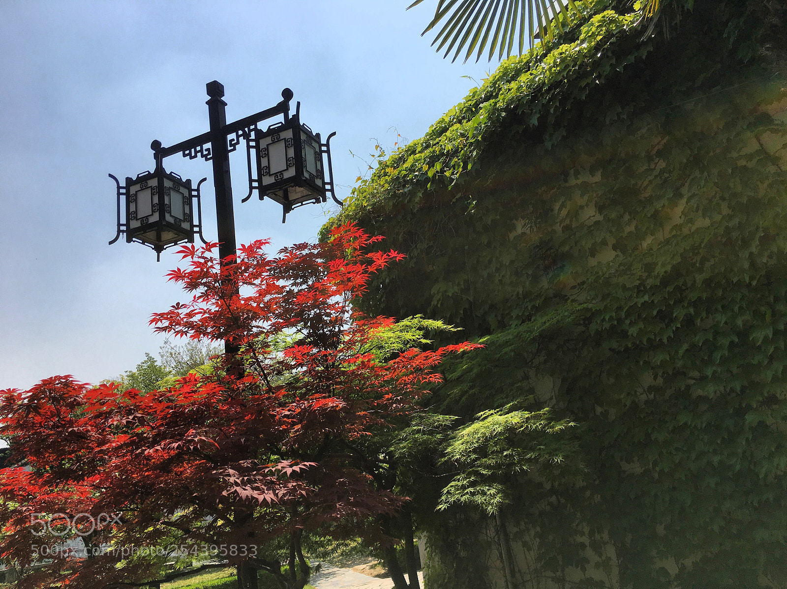 Apple iPhone 6s sample photo. Suzhou china photography