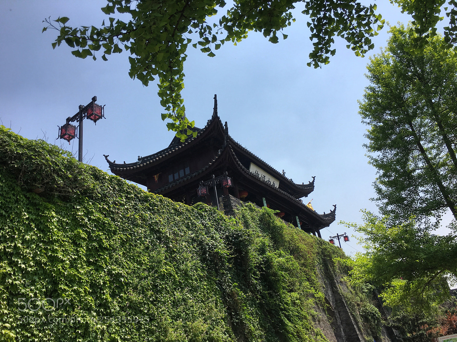 Apple iPhone 6s sample photo. Suzhou china photography