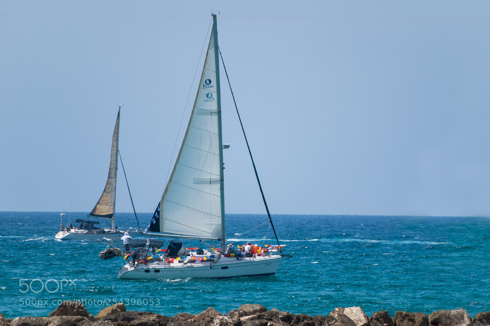 Nikon D5600 sample photo. Celebration sail photography