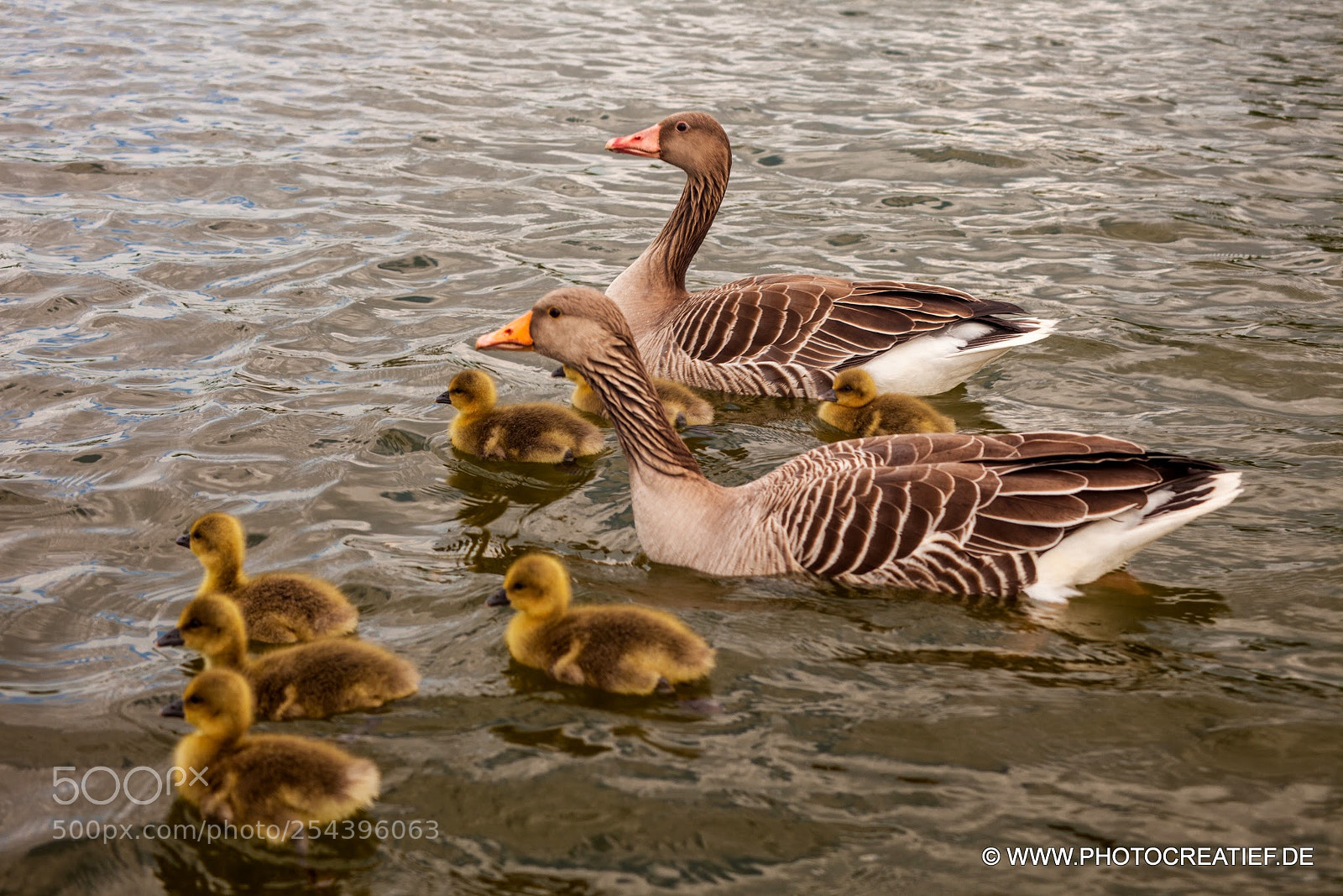 Canon EOS 5D Mark II sample photo. Big familie photography